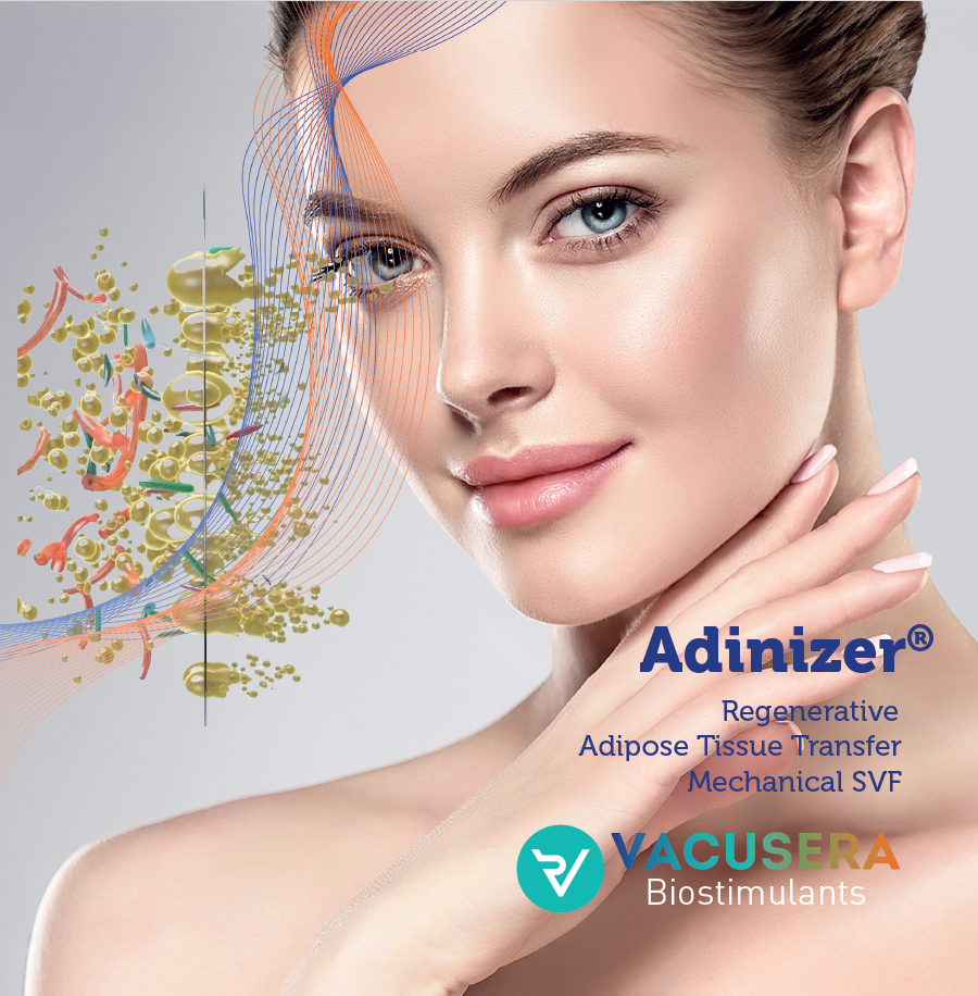 Adinizer Aesthetic Brochure